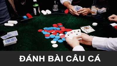 Bật mí cách đánh bài câu cá: Từ người mới đến cao thủ